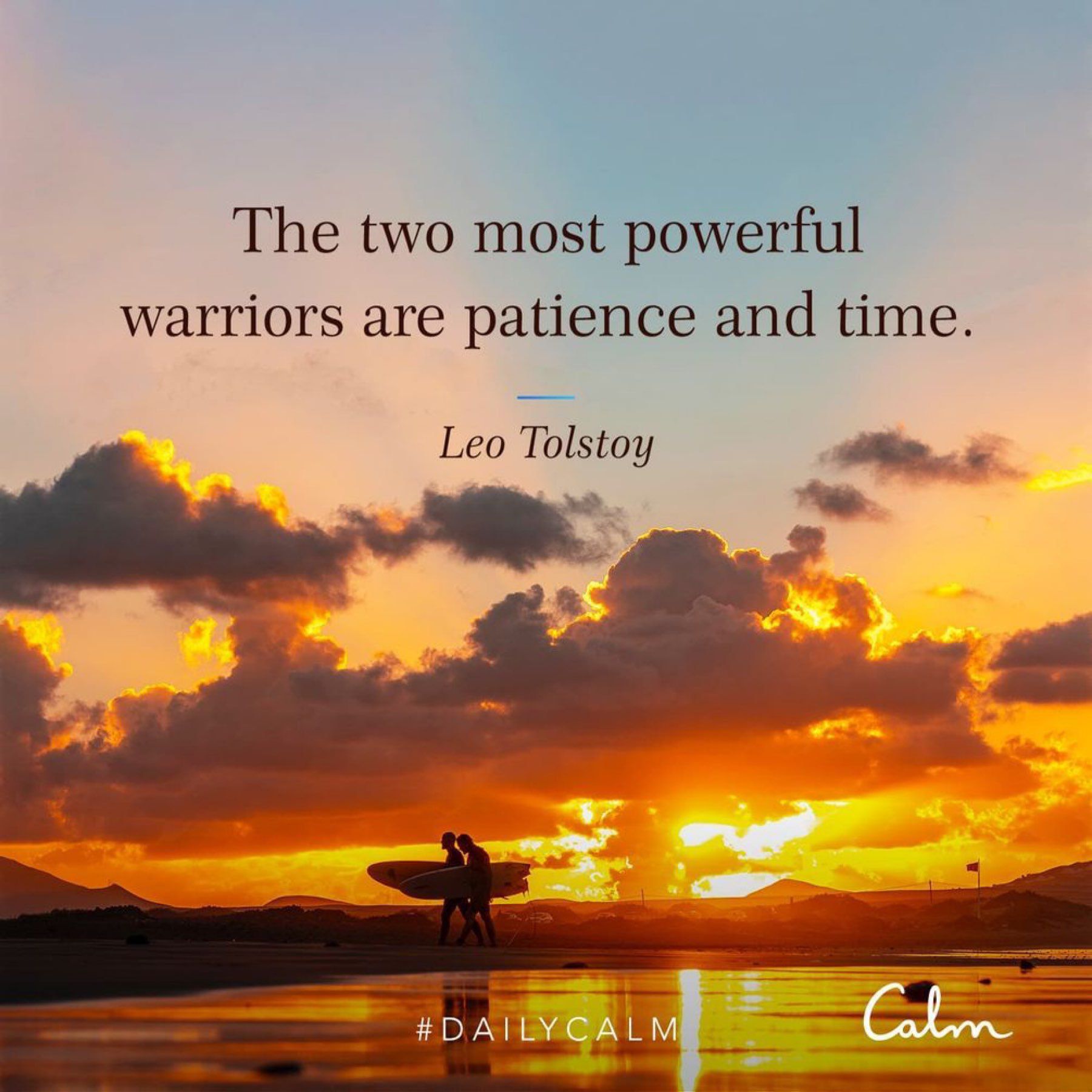 The two most powerful warriors are patience and time