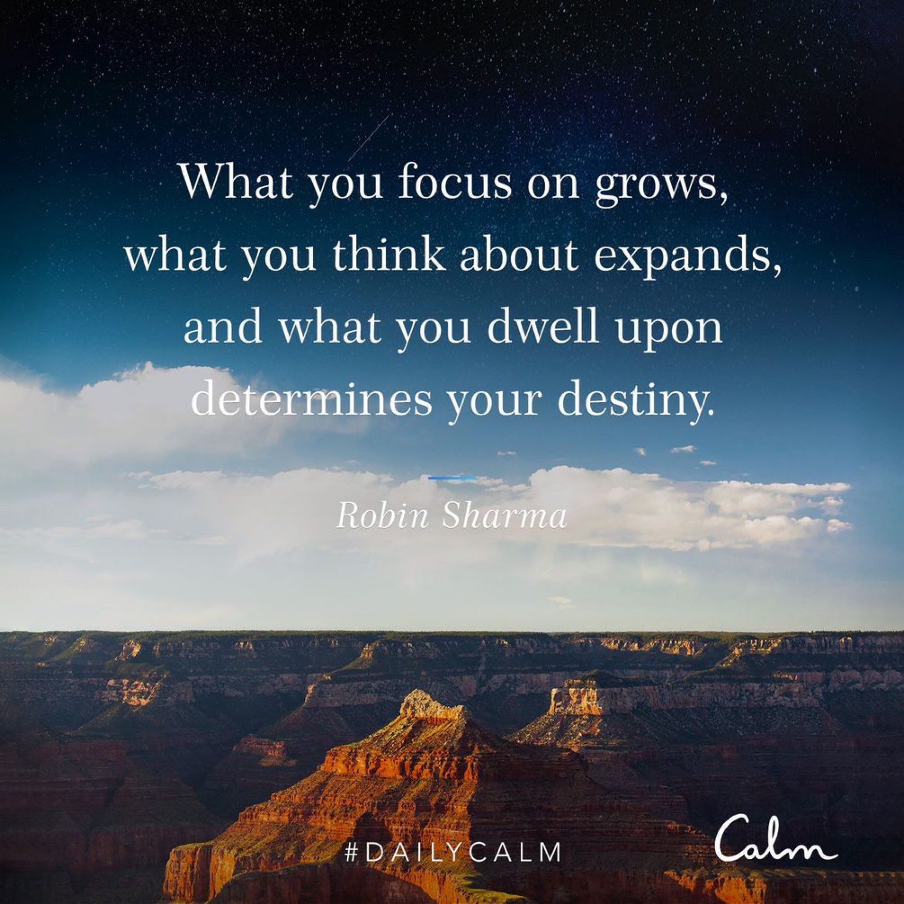 What you focus on grows