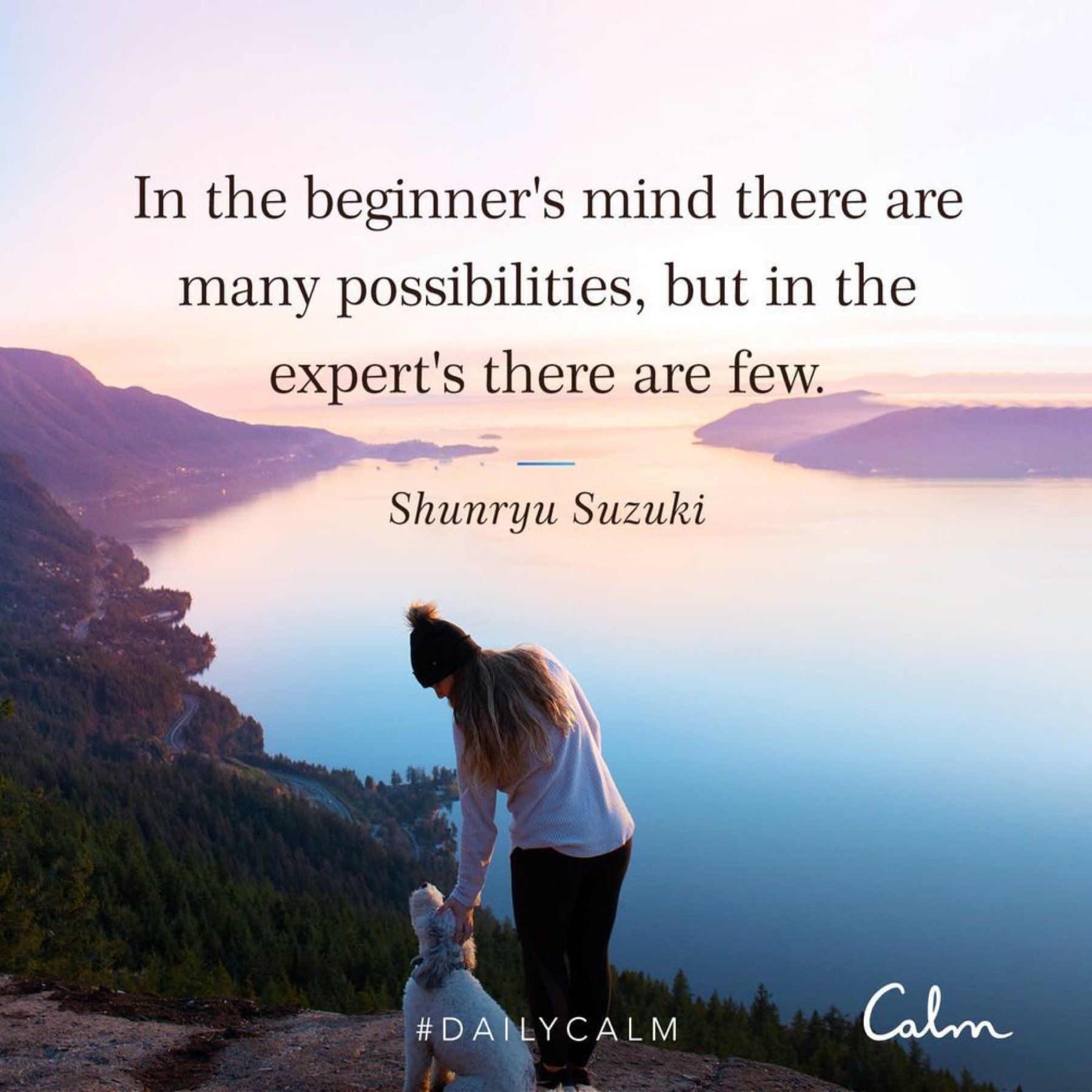 In the beginner's mind are many possibilities, in the expert's there are few