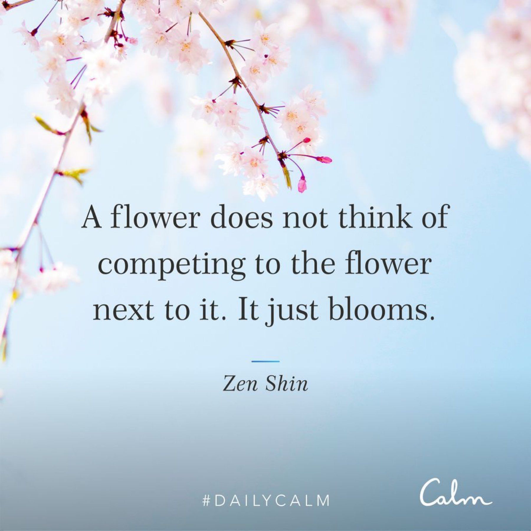 A flower does not compete